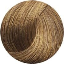 SMH Plant-Based Hair Fibers MADE IN JAPAN – Instantly Conceals Thinning Hair –Long-Lasting, Natural Look – Sweat, Water & Wind Resistant – For Men & Women (10g, Wheat Blond)