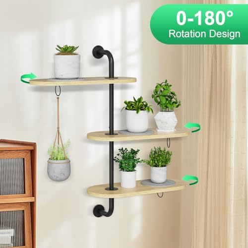 Rotating Window Plant Shelves - Image 3