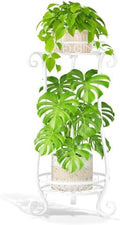 LASZOLA Metal Corner Plant Flower Stand Tall Indoor Outdoor, 2 Tiers White by LASZOLA