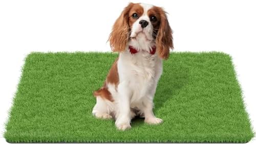 MAYSHINE Fake Grass for Dogs, Artificial Turf Grass Indoor Outdoor, Mat for by MAYSHINE