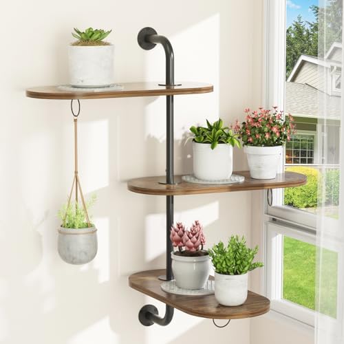Rotating Window Plant Shelves by VyGrow