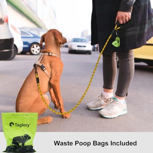 Taglory Rope Dog Leash for Small Medium Dogs, 6 FT Padded Handle - Image 2