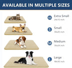 Smiry Dog Door Mat for Muddy Paws 24x16, Absorbent Low-Profile Doormats - Image 3