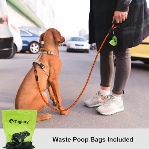 Taglory Rope Dog Leash for Small Medium Dogs, 4 FT Padded Handle - Image 2