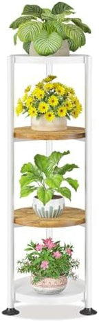 LASZOLA Plant Stand Tall Flower Holder by LASZOLA