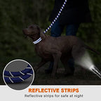 Taglory Rope Dog Leash for Medium Large Dogs, 4 FT Padded Handle - Image 5