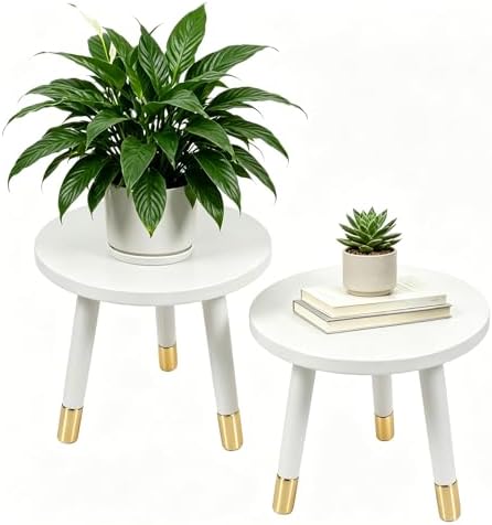 2-Pack Mid Century Plant Stand for Indoor Plants, Modern Metal Flower Pot by Bbteroiu