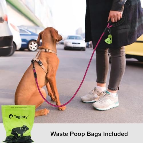Taglory Rope Dog Leash for Small Medium Dogs, 5 FT Padded Handle - Image 2