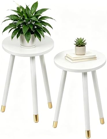 2-Pack Mid Century Plant Stand for Indoor Plants, Modern Metal Flower Pot by Bbteroiu