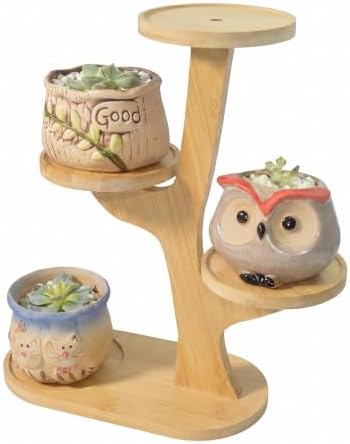 4 Tier Tabletop Plant Stand Indoor | Small Plant Stand by Unknown
