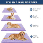 OLANLY Dog Door Mat for Muddy Paws 70x46, Extra Absorbent Chenille Mud Mat - Image 2