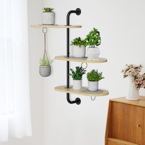 Rotating Window Plant Shelves - Image 7