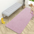 OLANLY Dog Door Mat for Muddy Paws 59x24, Super Absorbent Chenille Mud Mat by OLANLY