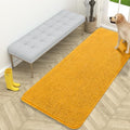 OLANLY Dog Door Mat for Muddy Paws 59x24, Super Absorbent Chenille Mud Mat by OLANLY