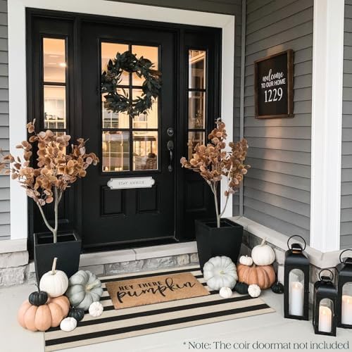 Front Door Mat Indoor Entrance - Image 4