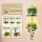 iDavosic.ly Plant Wall Hanger - Image 3
