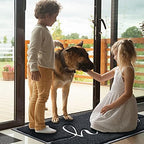 Door Mat Welcome Mat Floor Mat for Entryway, High Traffic Areas - Image 2