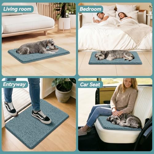 Bcoimo Super Absorbent Dog Door Mat - Image 6