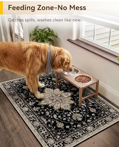 RELEANY Washable Area Rug, Small 2'x3' - Image 4