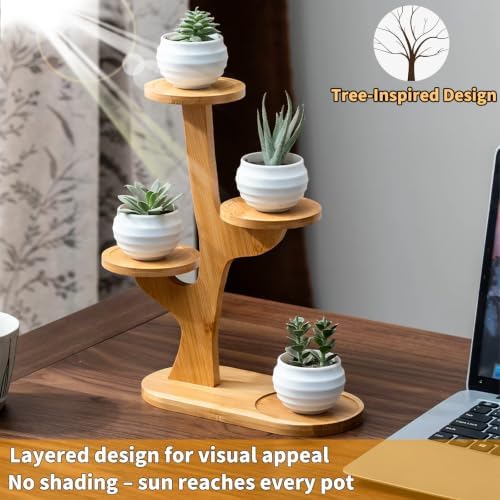 4 Tier Tabletop Plant Stand Indoor | Small Plant Stand - Image 2