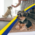 Muddy Mat® | Super Water Absorbent Door Mat Indoor, Microfiber Quick Dry - Image 5