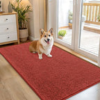 OLANLY Dog Door Mat for Muddy Paws 54x32, Super Absorbent Chenille Mud Mat by OLANLY
