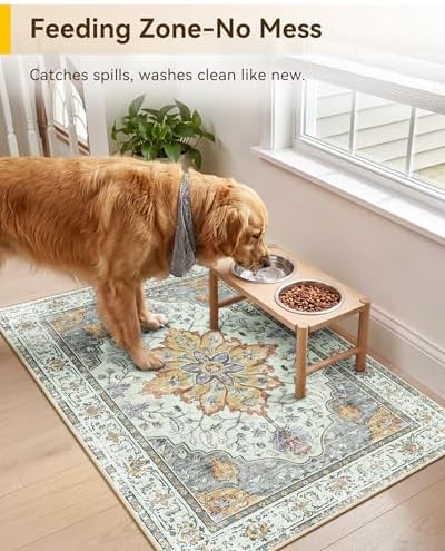RELEANY Washable Area Rug, Small 2'x3' - Image 2