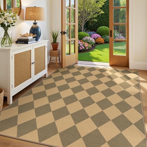 Lessymo Checkered Area Rugs 5x7 by Lessymo