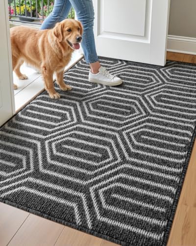 DEXI Front Door Mats for Entryway, 32x48 Non Slip Washable Entry Doormat by DEXI
