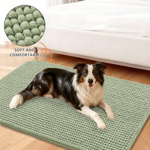Smiry Dog Door Mat for Muddy Paws 24x16, Absorbent Low-Profile Doormats - Image 2