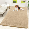 OLANLY Dog Door Mat for Muddy Paws 70x46, Super Absorbent Chenille Mud Mat by OLANLY
