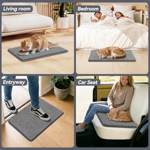 Bcoimo Super Absorbent Chenille Door Mat, Non-Slip Quick Dry Entryway Rug - Image 6