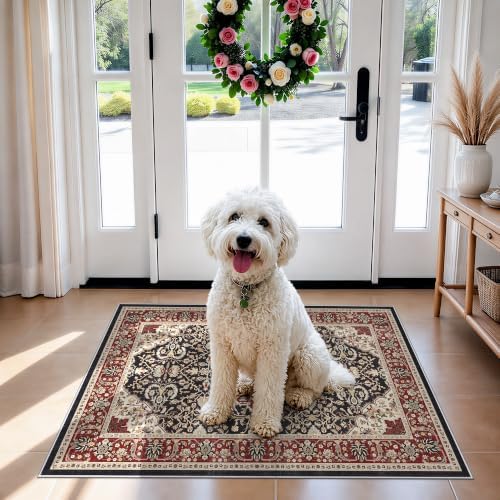 HAOYUNLAI Washable Non-Slip 2x3 Entryway Area Rug Low-Profile Soft Carpet by HYHAOYUNLAI