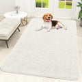 OLANLY Dog Door Mat for Muddy Paws 70x46, Super Absorbent Chenille Mud Mat by OLANLY