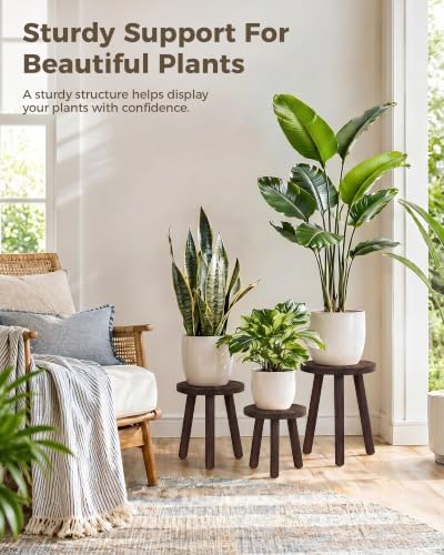 Bamworld Plant Stand Indoor 3 Pack Plant Stools - Image 2