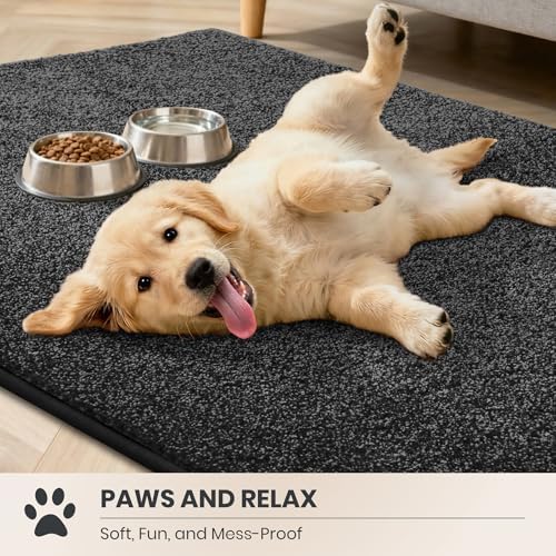 PURRUGS Area Rug - Image 3