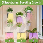 iDavosic.ly Plant Wall Hanger - Image 5