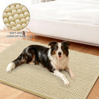 Smiry Dog Door Mat for Muddy Paws 24x16, Absorbent Low-Profile Doormats - Image 2