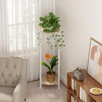 2 Tier Plant Stand Indoor Corner Tall Round Shape Plant Shelf - Image 4