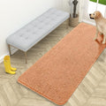 OLANLY Dog Door Mat for Muddy Paws 59x24, Super Absorbent Chenille Mud Mat by OLANLY