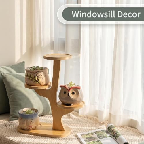 4 Tier Tabletop Plant Stand Indoor | Small Plant Stand - Image 4