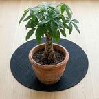 3-Pack Plant Saucer Mat, 16 Inch Reversible Absorbent & Waterproof Felt Pad - Image 7