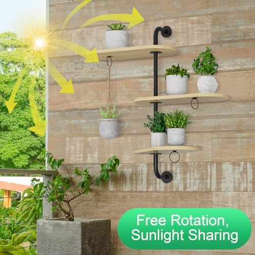 Rotating Window Plant Shelves - Image 4