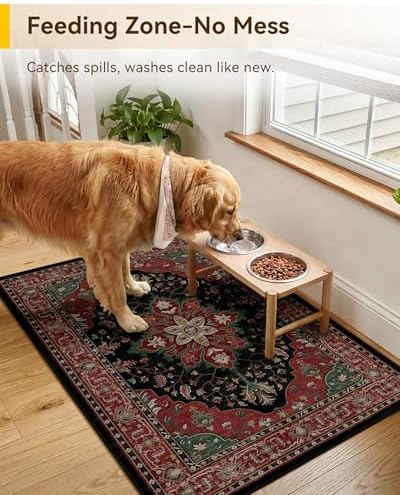 RELEANY Washable Area Rug, Small 2'x3' - Image 2