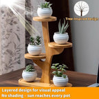 4 Tier Tabletop Plant Stand Indoor | Small Plant Stand - Image 2