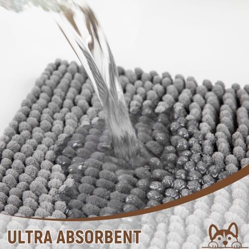 Absorbent Dog Door Mat for Muddy Paws - Image 4