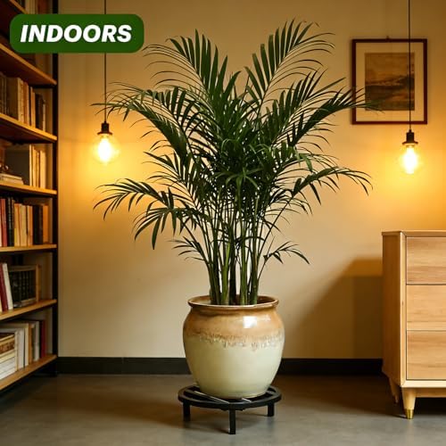 Large Plant Stand, 3 Pack 12 Inch Metal Pot Risers - Image 5