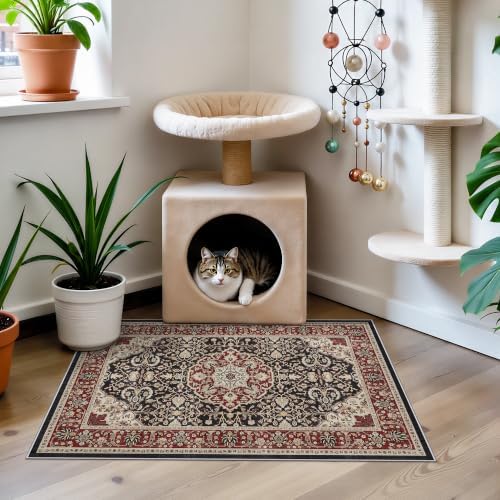 HAOYUNLAI Washable Non-Slip 2x3 Entryway Area Rug Low-Profile Soft Carpet - Image 4