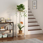 2 Tier Plant Stand Indoor Corner Tall Round Shape Plant Shelf - Image 3