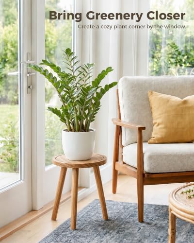 Bamworld 3 Pack Plant Stand Indoor Single Plant Stand - Image 4